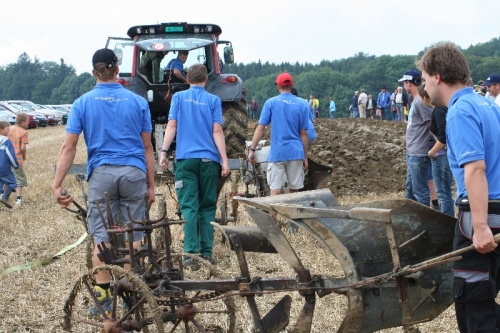 Klicken für Bild in voller Größe