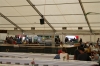 IMG_8188_(Custom).JPG